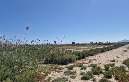 Resale - Plot / Land - Elche Pedanías - La Hoya-Daimes-El Derramador