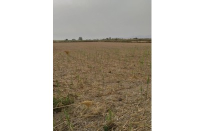 Resale - Plot / Land - Elche Pedanías - La Hoya-Daimes-El Derramador