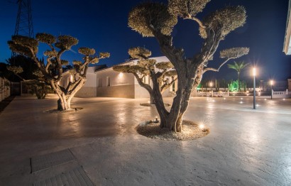 Resale - Villa - Elche Pedanías - PEÑA DE LAS AGUILAS