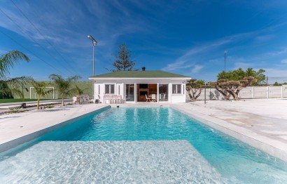 Resale - Villa - Elche Pedanías - PEÑA DE LAS AGUILAS