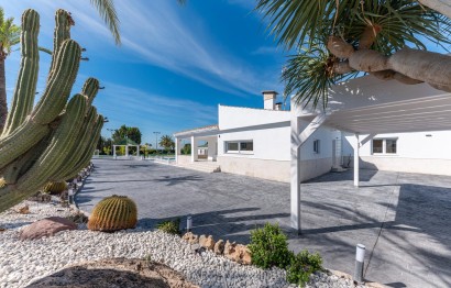 Resale - Villa - Elche Pedanías - PEÑA DE LAS AGUILAS