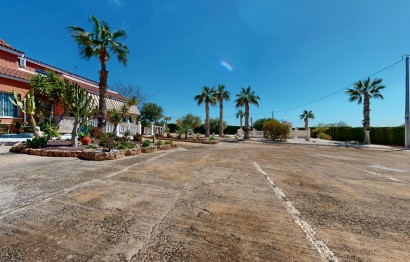 Reventa - Villa - Elche - Elche / Elx