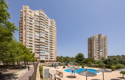Reventa - Apartamento / piso - Benidorm - Via Parque