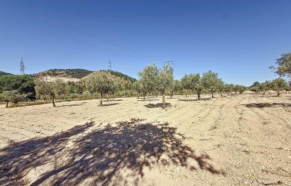 Resale - Plot / Land - Biar - Comunidad valenciana