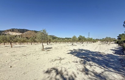 Resale - Plot / Land - Biar - Comunidad valenciana