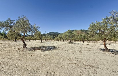 Resale - Plot / Land - Biar - Comunidad valenciana