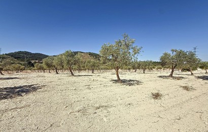 Resale - Plot / Land - Biar - Comunidad valenciana