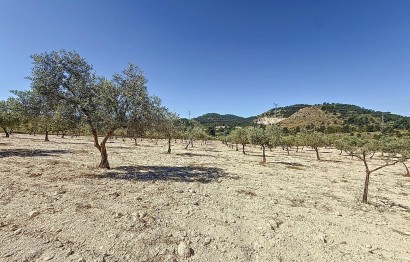 Resale - Plot / Land - Biar - Comunidad valenciana