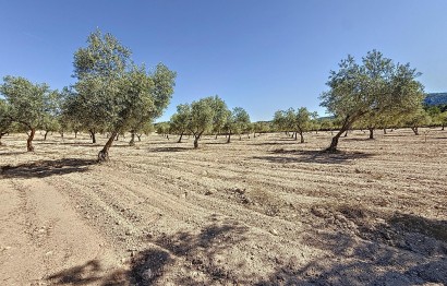 Resale - Plot / Land - Biar - Comunidad valenciana