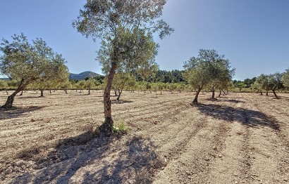 Resale - Plot / Land - Biar - Comunidad valenciana