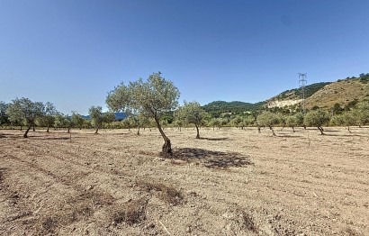 Resale - Plot / Land - Biar - Comunidad valenciana