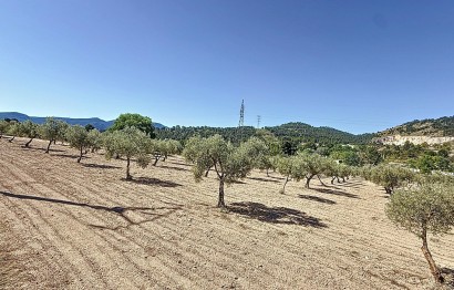 Resale - Plot / Land - Biar - Comunidad valenciana