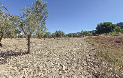 Resale - Plot / Land - Biar - Comunidad valenciana