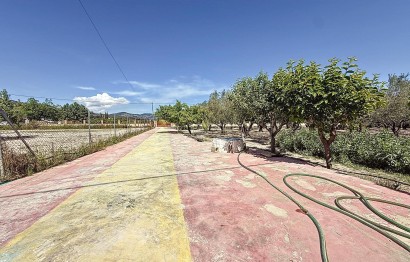 Revente - Ville - Onil - Senda Del Chopet