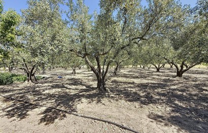 Revente - Ville - Onil - Senda Del Chopet