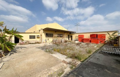 Revente - Commercial - Elche Pedanías - Algoda-Matola-Llano de San José