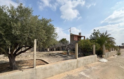 Revente - Commercial - Elche Pedanías - Algoda-Matola-Llano de San José