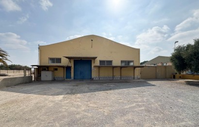 Revente - Commercial - Elche Pedanías - Algoda-Matola-Llano de San José