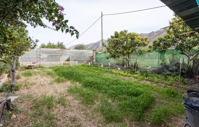 Reventa - house - Orihuela Costa - La Matanza