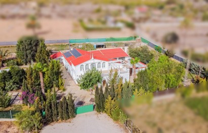 Reventa - house - Elche Pedanías - La Marina