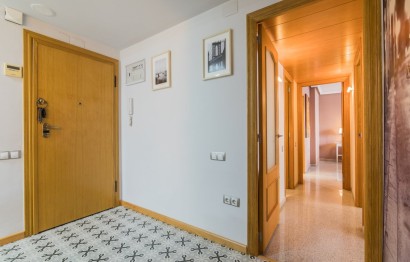 Long Term Rental - Apartment - Elche - Sector Quinto