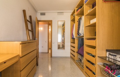 Long Term Rental - Apartment - Elche - Sector Quinto