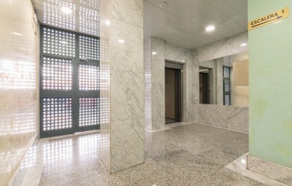 Long Term Rental - Apartment - Elche - Sector Quinto