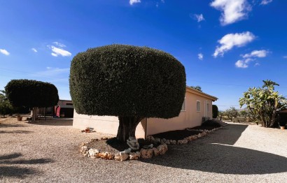Resale - Villa - Jacarilla