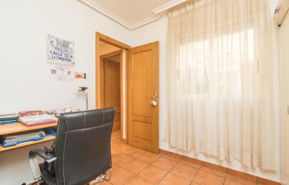 Reventa - Apartamento / piso - Elche - Asilo - Pisos Azules