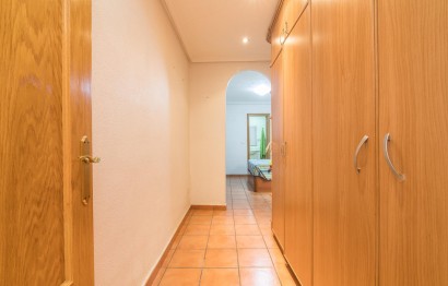 Reventa - Apartamento / piso - Elche - Asilo - Pisos Azules