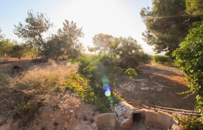 Resale - Plot / Land - Elche Pedanías - La Marina