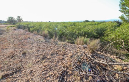Resale - Plot / Land - Elche Pedanías - La Marina