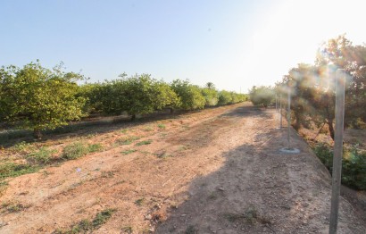 Resale - Plot / Land - Elche Pedanías - La Marina