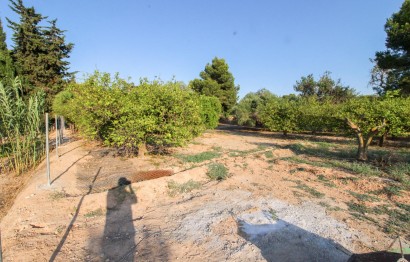 Resale - Plot / Land - Elche Pedanías - La Marina