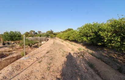 Resale - Plot / Land - Elche Pedanías - La Marina