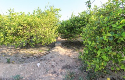 Resale - Plot / Land - Elche Pedanías - La Marina
