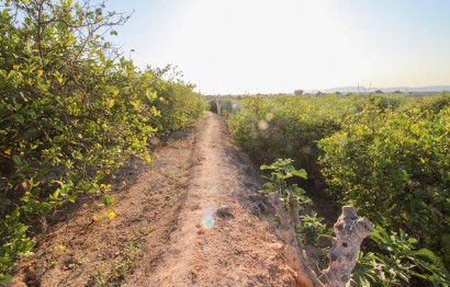 Resale - Plot / Land - Elche Pedanías - La Marina