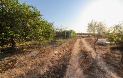 Resale - Plot / Land - Elche Pedanías - La Marina