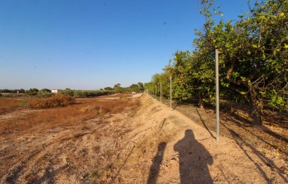 Resale - Plot / Land - Elche Pedanías - La Marina