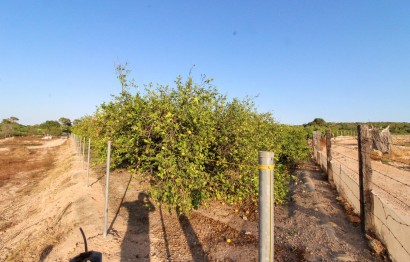 Resale - Plot / Land - Elche Pedanías - La Marina