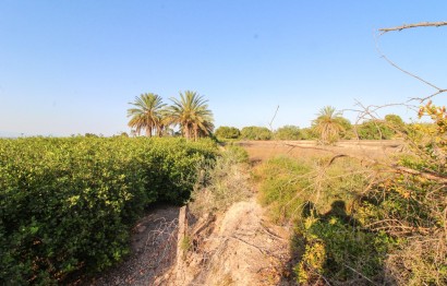 Resale - Plot / Land - Elche Pedanías - La Marina