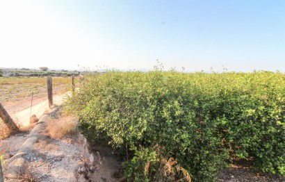 Resale - Plot / Land - Elche Pedanías - La Marina