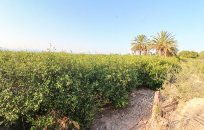 Resale - Plot / Land - Elche Pedanías - La Marina