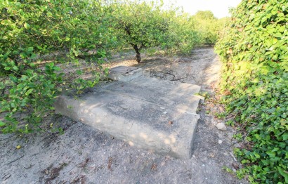 Resale - Plot / Land - Elche Pedanías - La Marina
