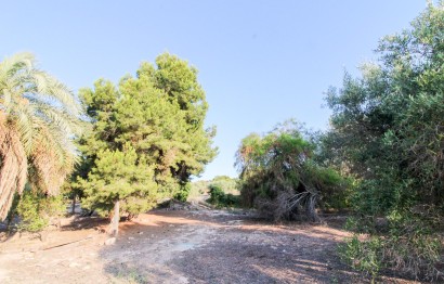 Resale - Plot / Land - Elche Pedanías - La Marina