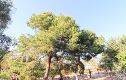 Resale - Plot / Land - Elche Pedanías - La Marina