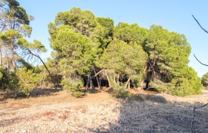 Resale - Plot / Land - Elche Pedanías - La Marina