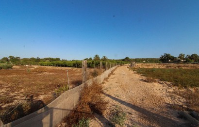 Resale - Plot / Land - Elche Pedanías - La Marina
