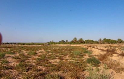 Resale - Plot / Land - Elche Pedanías - La Marina