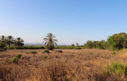 Resale - Plot / Land - Elche Pedanías - La Marina